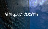 輔酶q10的功效詳解
