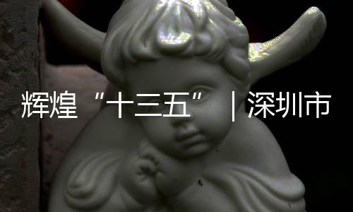 輝煌“十三五”｜深圳市場(chǎng)監(jiān)管部門建成科技創(chuàng)新平臺(tái)25個(gè)