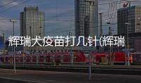 輝瑞犬疫苗打幾針(輝瑞犬疫苗衛5與衛8區別)