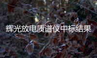 輝光放電質譜儀中標結果公告