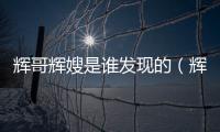 輝哥輝嫂是誰發(fā)現(xiàn)的（輝哥輝嫂在哪出的事）