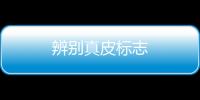 辨別真皮標(biāo)志