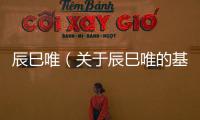 辰巳唯（關(guān)于辰巳唯的基本情況說明介紹）