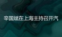 辛國(guó)斌在上海主持召開汽車產(chǎn)業(yè)發(fā)展形勢(shì)座談會(huì)