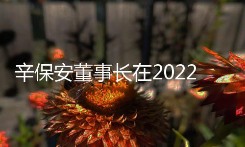 辛保安董事長在2022央視財經(jīng)論壇上作主旨演講
