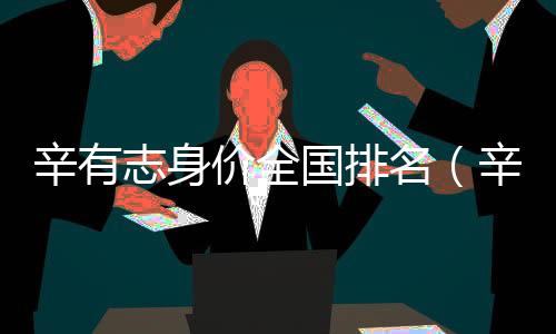 辛有志身價全國排名（辛有志身價多少個億）
