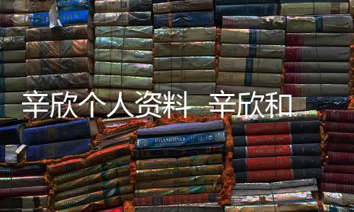 辛欣個人資料  辛欣和孫楠十年感情即便分手仍惦記對方