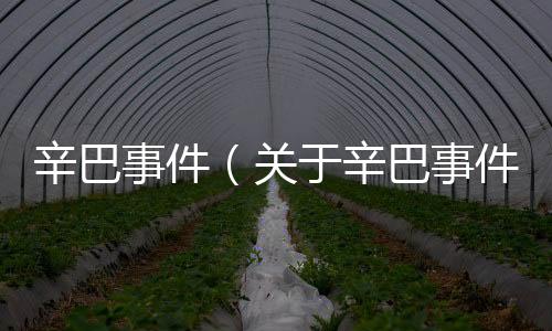 辛巴事件（關(guān)于辛巴事件的基本情況說明介紹）