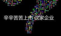 辛辛苦苦上市 這家企業只是為了還債？