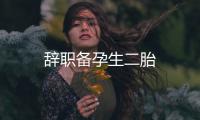 辭職備孕生二胎