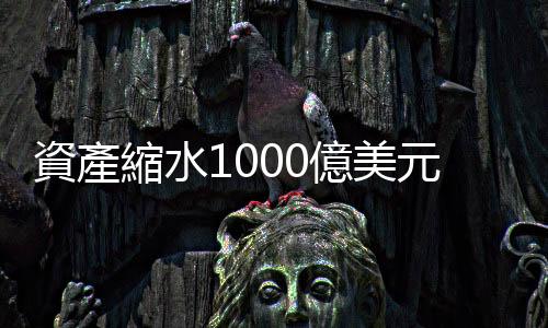 資產(chǎn)縮水1000億美元　馬斯克仍是世界首富