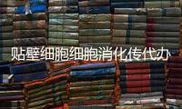 貼壁細(xì)胞細(xì)胞消化傳代辦法