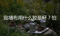 貼墻布用什么膠最好？怕家里被甲醛污染，現在流行用這種膠！