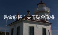 貼金麻將（關(guān)于貼金麻將的基本情況說明介紹）