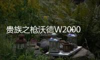 貴族之槍沃德W2000狙擊步槍