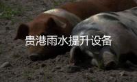 貴港雨水提升設備
