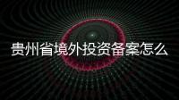 貴州省境外投資備案怎么辦理