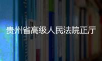 貴州省高級人民法院正廳長級干部唐林接受審查調查