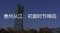 貴州從江：初夏時節梯田美
