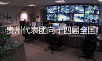 貴州代表團向十四屆全國人大二次會議提交議案9件建議219件
