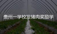 貴州一學(xué)校發(fā)豬肉獎(jiǎng)勵(lì)學(xué)生，網(wǎng)友：真正的靠實(shí)力吃肉