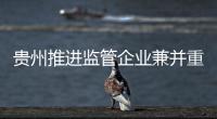 貴州推進(jìn)監(jiān)管企業(yè)兼并重組 組建國資運(yùn)營公司