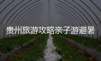 貴州旅游攻略親子游避暑圣地貴州旅行