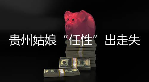貴州姑娘“任性”出走失聯浙黔警方歷時22天助其回家