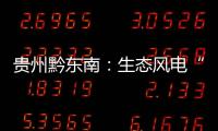 貴州黔東南：生態(tài)風(fēng)電“好風(fēng)光”