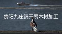貴陽九莊鎮(zhèn)開展木材加工廠安全生產(chǎn)大檢查