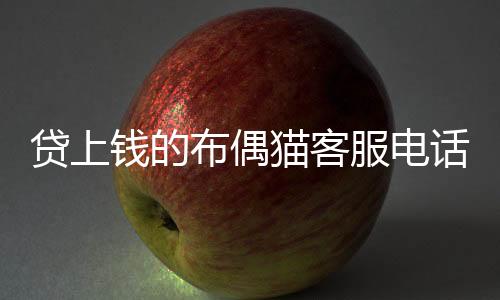 貸上錢的布偶貓客服電話