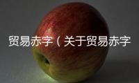 貿(mào)易赤字（關(guān)于貿(mào)易赤字的基本情況說明介紹）