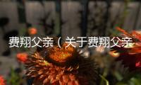 費(fèi)翔父親（關(guān)于費(fèi)翔父親的基本情況說明介紹）