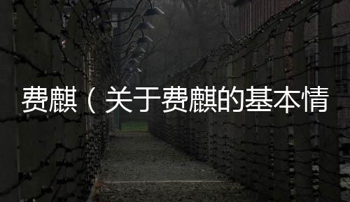 費麒（關于費麒的基本情況說明介紹）