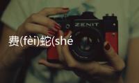 費(fèi)(fèi)蛇(shé)涂(tú)這是個(gè)什么梗?