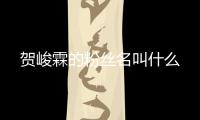 賀峻霖的粉絲名叫什么