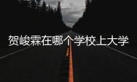 賀峻霖在哪個學校上大學（賀峻霖在哪個學校）