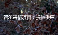 賀爾碧格項目：提供供應鏈綜合服務