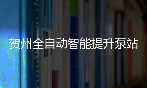 賀州全自動智能提升泵站
