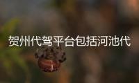 賀州代駕平臺包括河池代駕系統的具體內容