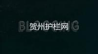 賀州護(hù)欄網(wǎng)