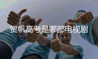 賀帆高考是哪部電視劇