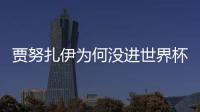 賈努扎伊為何沒(méi)進(jìn)世界杯？