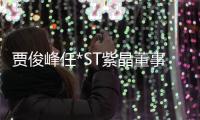 賈俊峰任*ST紫晶董事長