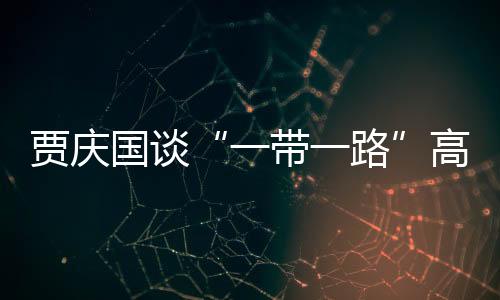 賈慶國談“一帶一路”高峰論壇：讓美好愿景成為現實
