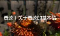 賈逵（關于賈逵的基本情況說明介紹）