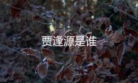 賈逢源是誰