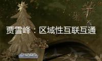 賈雪峰：區域性互聯互通或率先起步