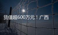 貨值超600萬元！廣西開展侵權(quán)假冒偽劣商品銷毀行動(dòng)