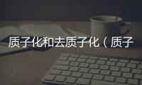 質子化和去質子化（質子化）